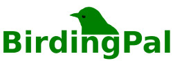 birding pal logo